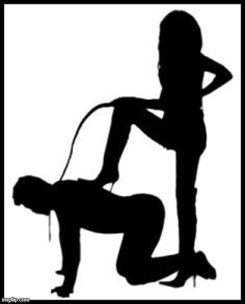 domme male submissive | image tagged in domme male submissive | made w/ Imgflip meme maker