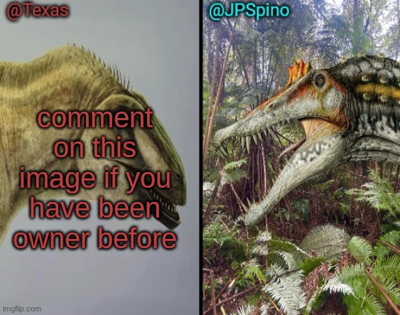 Texas and spino temp | comment on this image if you have been owner before | image tagged in texas and spino temp | made w/ Imgflip meme maker