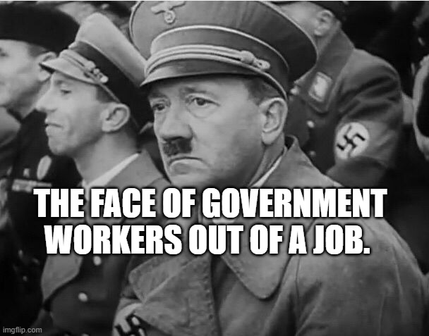 sad hitler | THE FACE OF GOVERNMENT WORKERS OUT OF A JOB. | image tagged in sad hitler | made w/ Imgflip meme maker