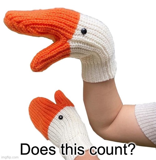 Does this count? | image tagged in puppet,ducks | made w/ Imgflip meme maker