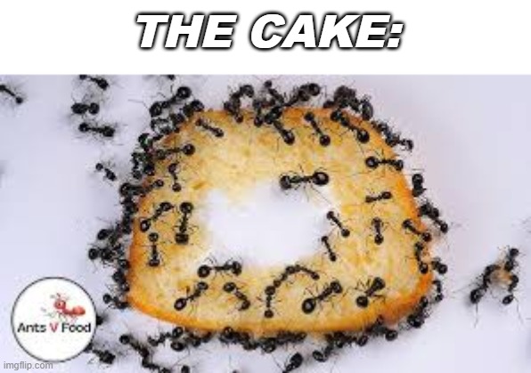 THE CAKE: | made w/ Imgflip meme maker