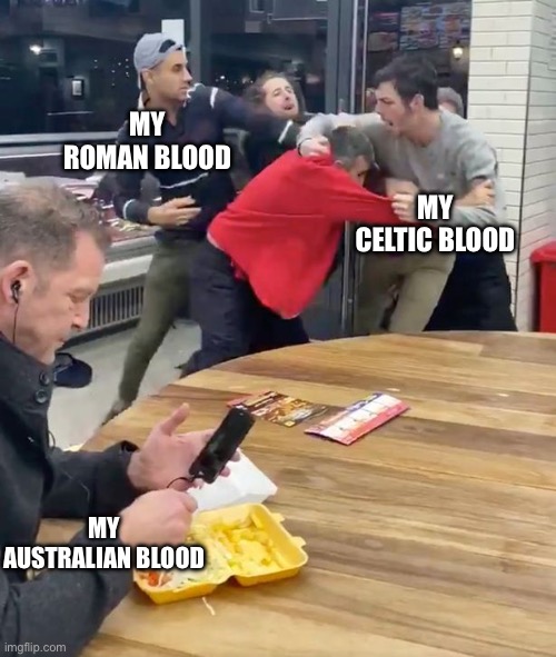 Fighting | MY ROMAN BLOOD; MY CELTIC BLOOD; MY AUSTRALIAN BLOOD | image tagged in fighting,roman,celts,australia | made w/ Imgflip meme maker