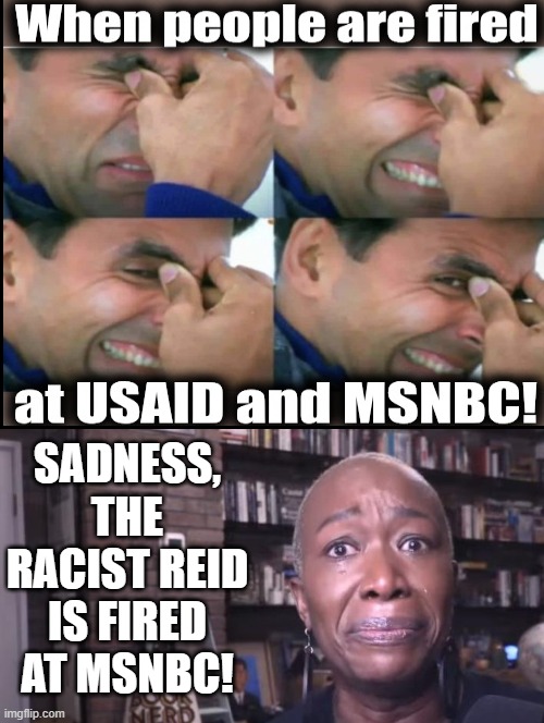 Are you sad or glad about Reid being fired at MSNBC? She looks sad, Boo Hoo! | SADNESS, THE RACIST REID IS FIRED AT MSNBC! | image tagged in sadness,sad face | made w/ Imgflip meme maker