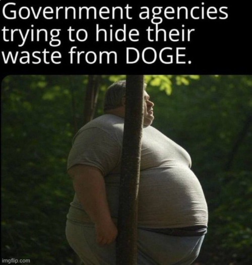 Too big to hide | image tagged in doge,elon musk,government corruption,huge,no hiding it | made w/ Imgflip meme maker