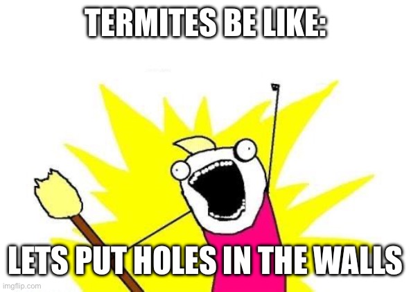 Yes, this is termites in a nutshell. | TERMITES BE LIKE:; LETS PUT HOLES IN THE WALLS | image tagged in memes,x all the y | made w/ Imgflip meme maker