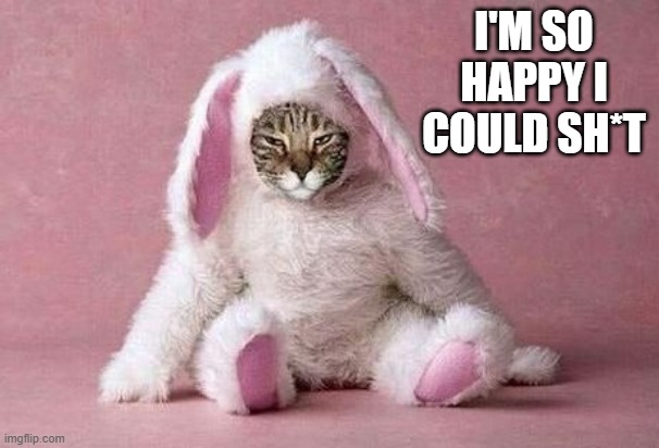 memes by Brad - Easter cat is so happy he could sh*t   - humor - | I'M SO HAPPY I COULD SH*T | image tagged in funny,cats,easter bunny,easter,humor,funny cat | made w/ Imgflip meme maker