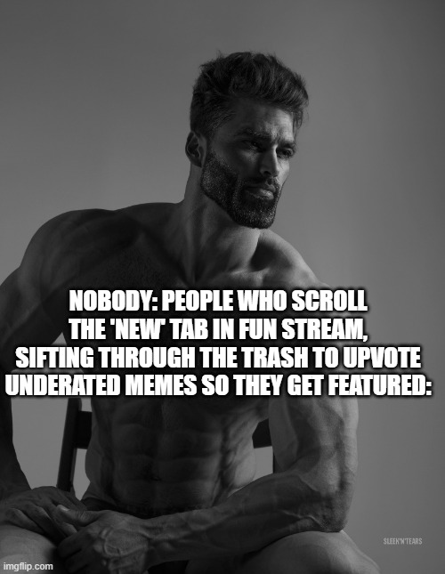 i wish more people did this | NOBODY: PEOPLE WHO SCROLL THE 'NEW' TAB IN FUN STREAM, SIFTING THROUGH THE TRASH TO UPVOTE UNDERATED MEMES SO THEY GET FEATURED: | image tagged in giga chad,tag,youre it | made w/ Imgflip meme maker