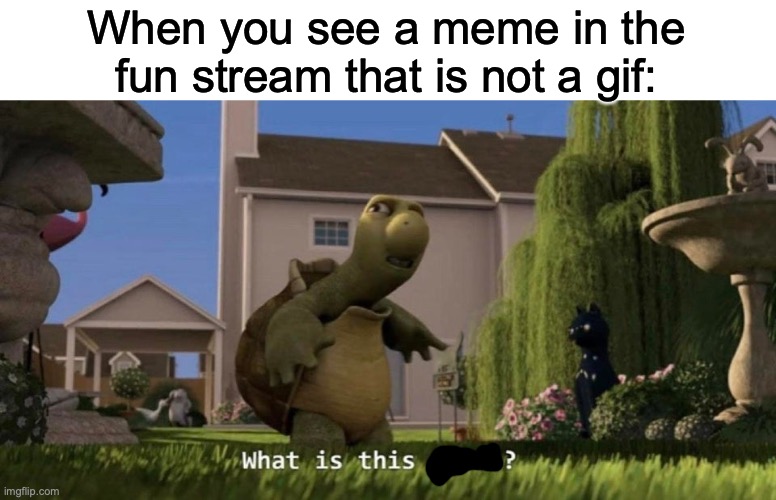 No actually what is this | When you see a meme in the fun stream that is not a gif: | image tagged in what is this place | made w/ Imgflip meme maker