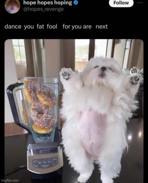 Instead of a cat, its a dog this time | made w/ Imgflip meme maker