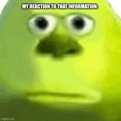 My reaction to that information | MY REACTION TO THAT INFORMATION: | image tagged in reaction,my honest reaction,funny,mike wazowski | made w/ Imgflip meme maker