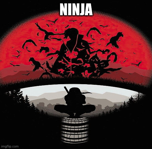 NINJA | image tagged in ninja | made w/ Imgflip meme maker