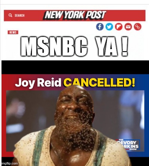 She was very emotional (for a rabid racist) | MSNBC  YA ! | image tagged in joy reid green mile fired meme | made w/ Imgflip meme maker