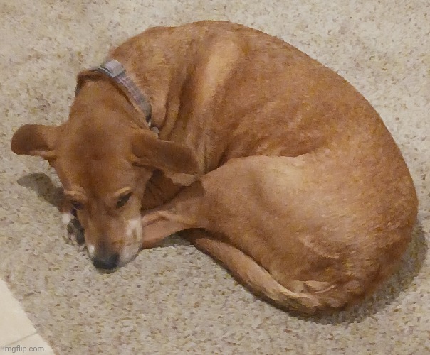 Look at the lil bean :D | made w/ Imgflip meme maker