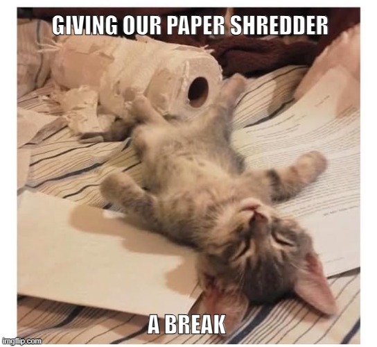 Paper Shredder | GIVING OUR PAPER SHREDDER; A BREAK | image tagged in cats,funny cats,funny meme,paper shredder,heavy breathing cat | made w/ Imgflip meme maker