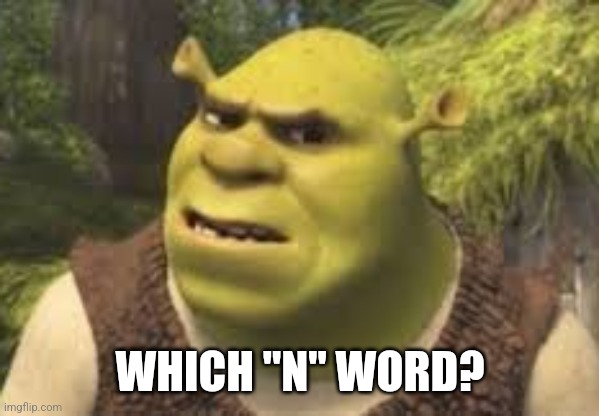 Confused shrek | WHICH "N" WORD? | image tagged in confused shrek | made w/ Imgflip meme maker