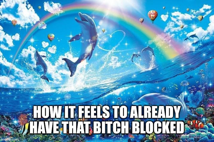 Happy dolphin rainbow | HOW IT FEELS TO ALREADY HAVE THAT BITCH BLOCKED | image tagged in happy dolphin rainbow | made w/ Imgflip meme maker