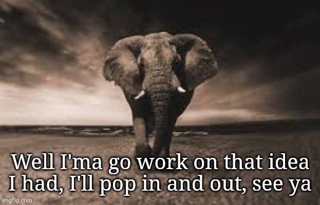 Mysterious Elephant | Well I'ma go work on that idea I had, I'll pop in and out, see ya | made w/ Imgflip meme maker