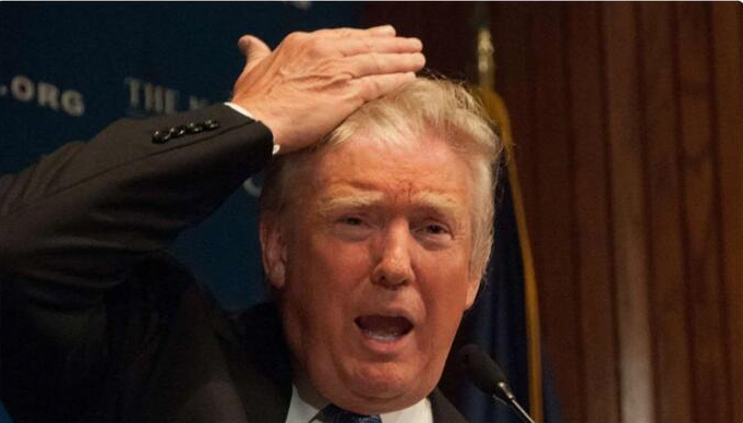 Trump hairline Blank Meme Template