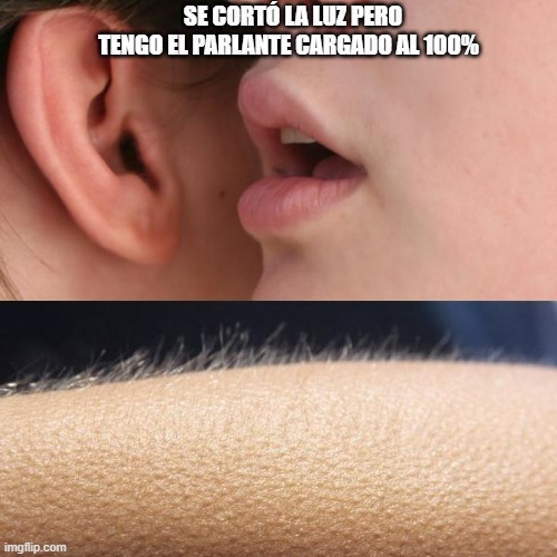 9liri8.jpg