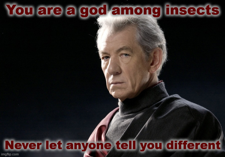 You are a god among insects Never let anyone tell you different | image tagged in magnetomeme | made w/ Imgflip meme maker