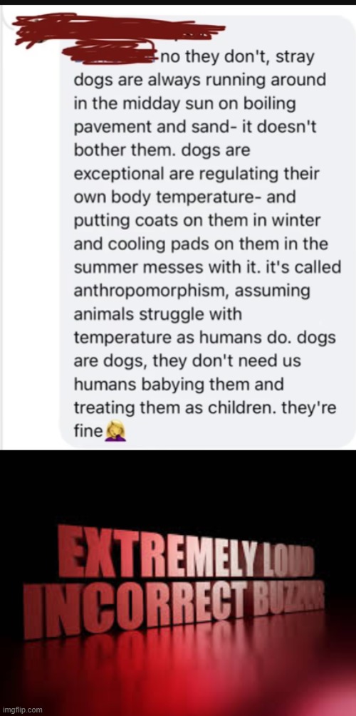 ''it's called anthropomorphism'' i don't think bro knows what that word means | image tagged in extremely loud incorrect buzzer | made w/ Imgflip meme maker