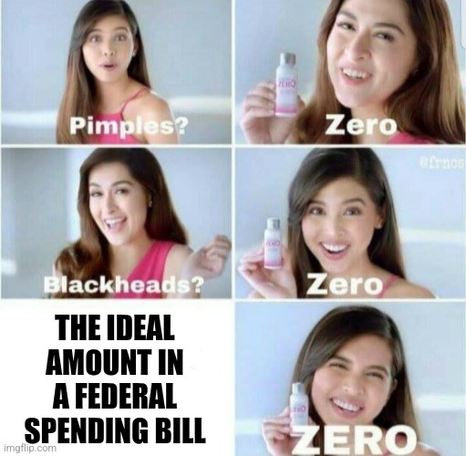 Pimples, Zero! | THE IDEAL AMOUNT IN A FEDERAL SPENDING BILL | image tagged in pimples zero | made w/ Imgflip meme maker