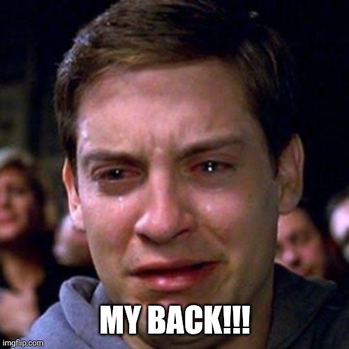 Crying Bully Maguire | MY BACK!!! | image tagged in crying bully maguire | made w/ Imgflip meme maker