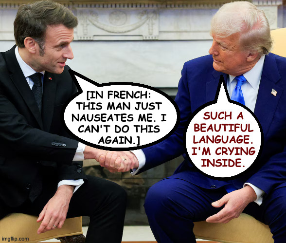 Macron chats with French reporter. | [IN FRENCH:
THIS MAN JUST
NAUSEATES ME. I
CAN'T DO THIS
AGAIN.] | image tagged in memes,macron,trump,french | made w/ Imgflip meme maker