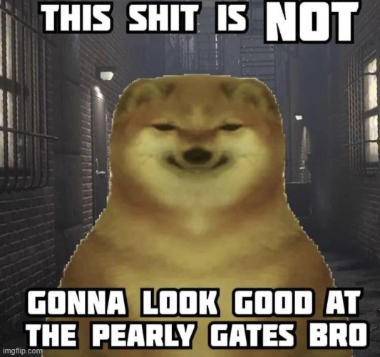 this shit is NOT gonna look good at the pearly gates bro | image tagged in this shit is not gonna look good at the pearly gates bro | made w/ Imgflip meme maker