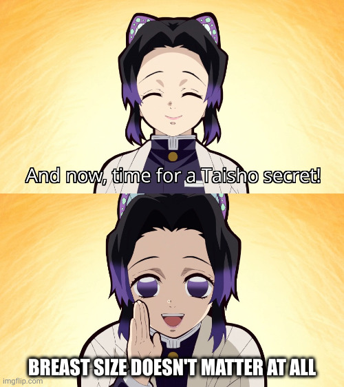 Demon slayer Shinobu taisho secret | BREAST SIZE DOESN'T MATTER AT ALL | image tagged in demon slayer shinobu taisho secret | made w/ Imgflip meme maker