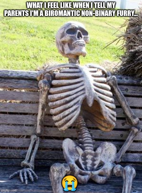 Waiting Skeleton | WHAT I FEEL LIKE WHEN I TELL MY PARENTS I'M A BIROMANTIC NON-BINARY FURRY... 😭 | image tagged in memes,waiting skeleton | made w/ Imgflip meme maker