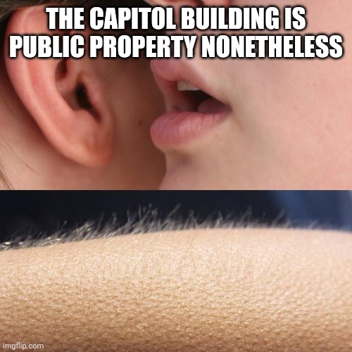 Whisper and Goosebumps | THE CAPITOL BUILDING IS PUBLIC PROPERTY NONETHELESS | image tagged in whisper and goosebumps | made w/ Imgflip meme maker