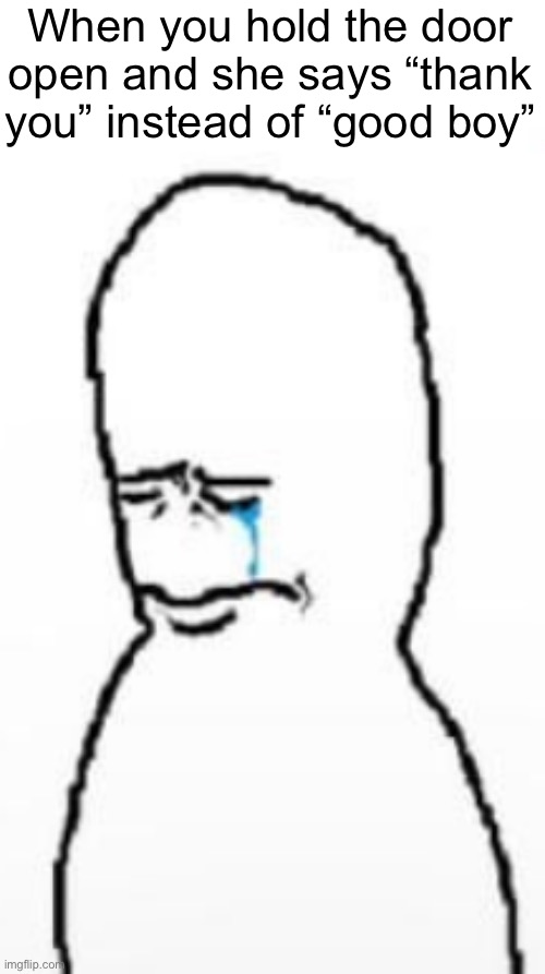 Sad fallenchungus guy | When you hold the door open and she says “thank you” instead of “good boy” | image tagged in sad fallenchungus guy | made w/ Imgflip meme maker