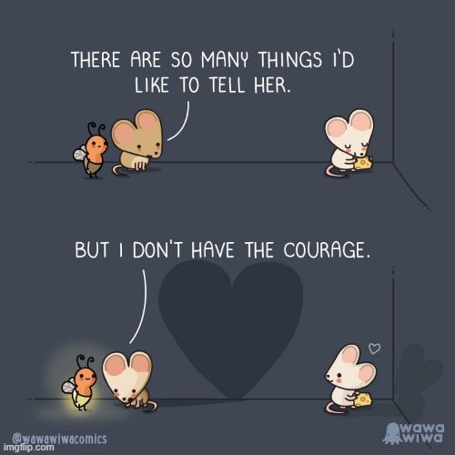 image tagged in mouse,mice,firefly,shadow,heart,aww | made w/ Imgflip meme maker