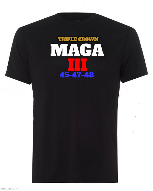 New Trump trash 2028 | TRIPLE CROWN; MAGA; III; 45-47-48 | image tagged in new trump trash 2028,fascim forever,maga merch,putin's putz,end the biden economy,nato not a terrorist organization | made w/ Imgflip meme maker