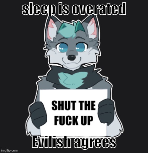 gn LOL | sleep is overated; Evilish agrees | image tagged in stfu | made w/ Imgflip meme maker