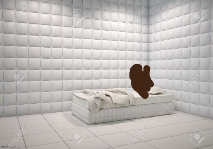 padded room | image tagged in padded room | made w/ Imgflip meme maker