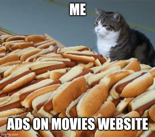 Ads on movies website | ME; ADS ON MOVIES WEBSITE | image tagged in too many hot dogs | made w/ Imgflip meme maker