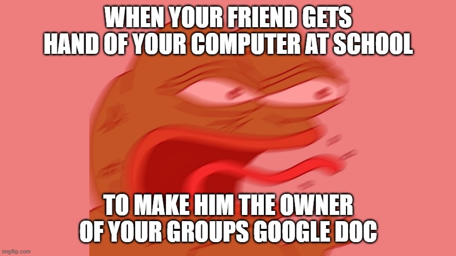 Pepe | WHEN YOUR FRIEND GETS HAND OF YOUR COMPUTER AT SCHOOL; TO MAKE HIM THE OWNER OF YOUR GROUPS GOOGLE DOC | image tagged in pepe reeeee | made w/ Imgflip meme maker