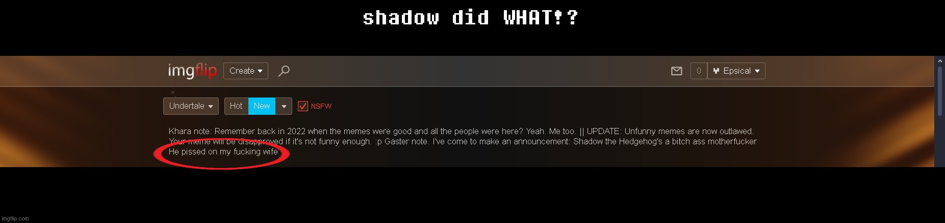 shadow did WHAT!? | made w/ Imgflip meme maker