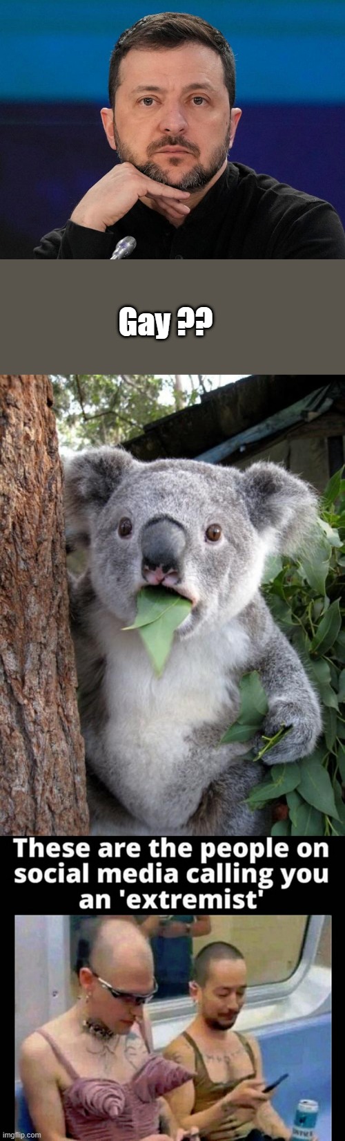 " I'm so pretty " | Gay ?? | image tagged in memes,surprised koala | made w/ Imgflip meme maker