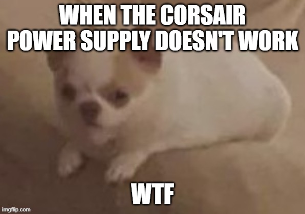 Corsair power supplies are meant to be good. Mine was broken, even though brand new. Had to get a downgrade, that worked | WHEN THE CORSAIR POWER SUPPLY DOESN'T WORK; WTF | image tagged in da potato dog,corsair psu,this happened to me,corsair,pcmasterracememes | made w/ Imgflip meme maker