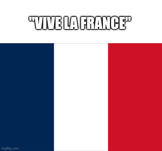 Idk | "VIVE LA FRANCE" | image tagged in flag of france | made w/ Imgflip meme maker