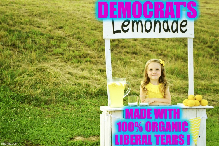 Lemonade stand | DEMOCRAT'S MADE WITH 100% ORGANIC LIBERAL TEARS ! | image tagged in lemonade stand | made w/ Imgflip meme maker