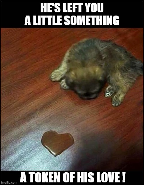 An 'Affectionate' Puppy ? | HE'S LEFT YOU A LITTLE SOMETHING; A TOKEN OF HIS LOVE ! | image tagged in dogs,puppy,love,pee,heart | made w/ Imgflip meme maker