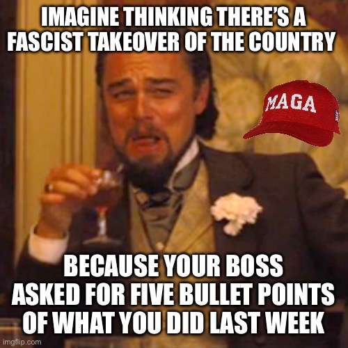 Democrats have lost their minds ? | IMAGINE THINKING THERE’S A FASCIST TAKEOVER OF THE COUNTRY; BECAUSE YOUR BOSS ASKED FOR FIVE BULLET POINTS OF WHAT YOU DID LAST WEEK | image tagged in memes,laughing leo | made w/ Imgflip meme maker