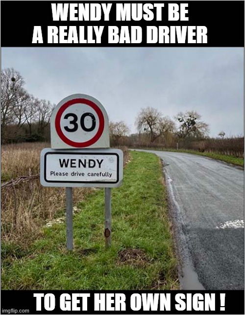 I Want To Know Her Back Story ? | WENDY MUST BE A REALLY BAD DRIVER; TO GET HER OWN SIGN ! | image tagged in bad driver,sign,wendy | made w/ Imgflip meme maker