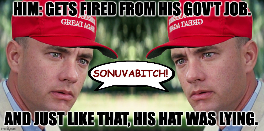 His hat was ly-ying! | HIM: GETS FIRED FROM HIS GOV'T JOB. SONUVABITCH! AND JUST LIKE THAT, HIS HAT WAS LYING. | image tagged in memes,and just like that,mirror mirror | made w/ Imgflip meme maker