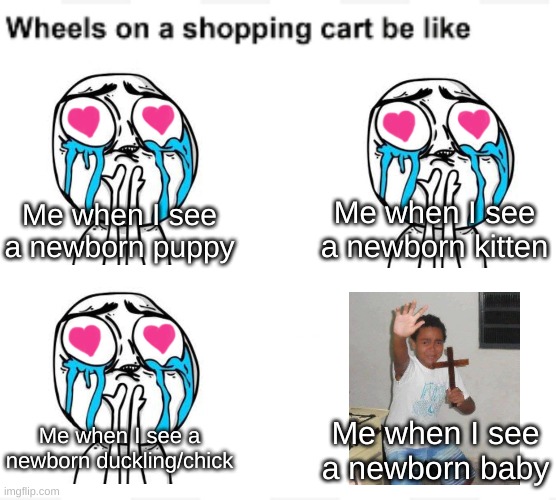 Other baby animals are adorable, especially puppies, kittens, and ducklings/chicks. I just can't stand newborn baby humans. | Me when I see a newborn kitten; Me when I see a newborn puppy; Me when I see a newborn duckling/chick; Me when I see a newborn baby | image tagged in wheels on a shopping cart be like,cute puppies,cute kittens,puppies and kittens,duckling,baby | made w/ Imgflip meme maker