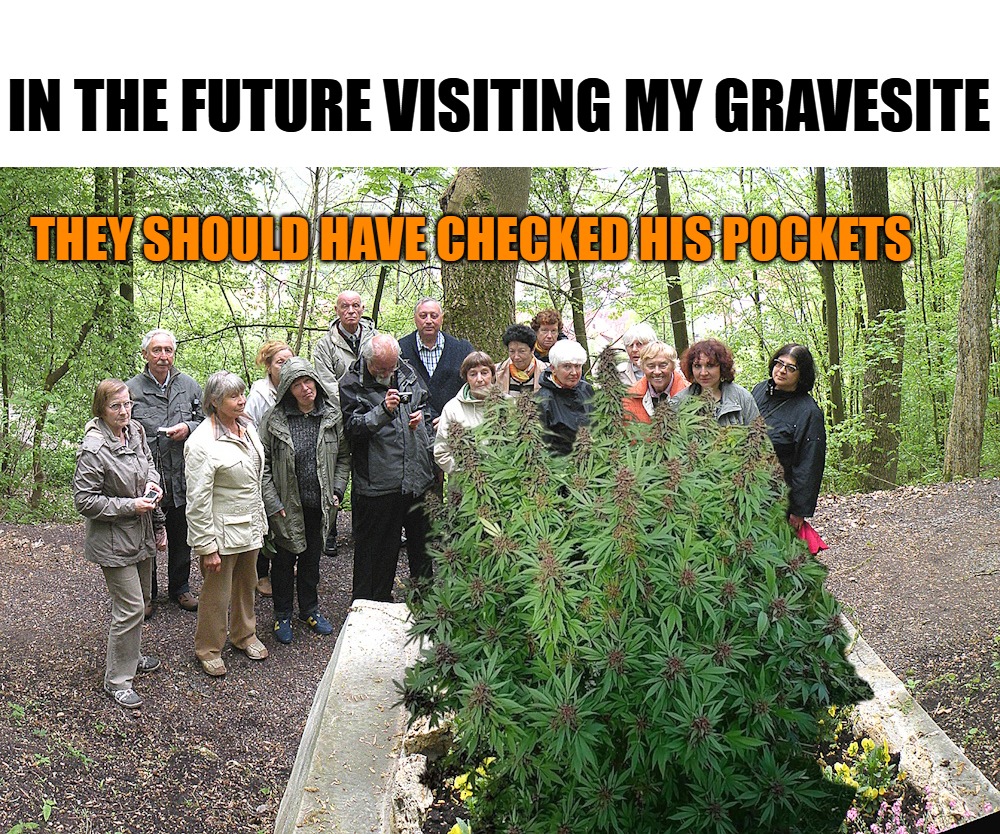 visiting my gravesite in the future | IN THE FUTURE VISITING MY GRAVESITE; THEY SHOULD HAVE CHECKED HIS POCKETS | image tagged in pot,mirjana,refer,weed,kewlew | made w/ Imgflip meme maker